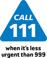 Call 111 Logo